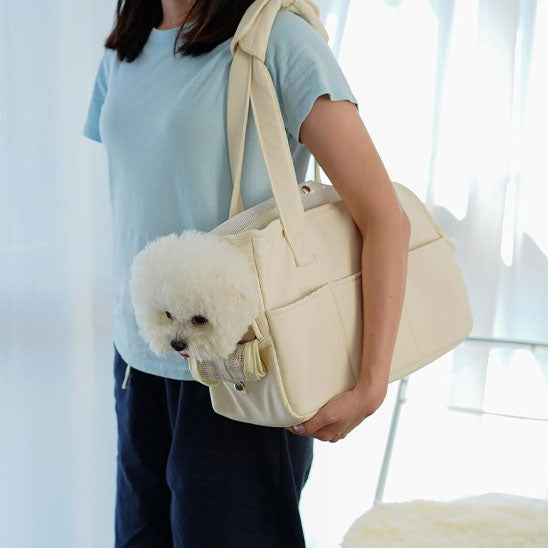 sac de transport pour chien bichon avec maitre