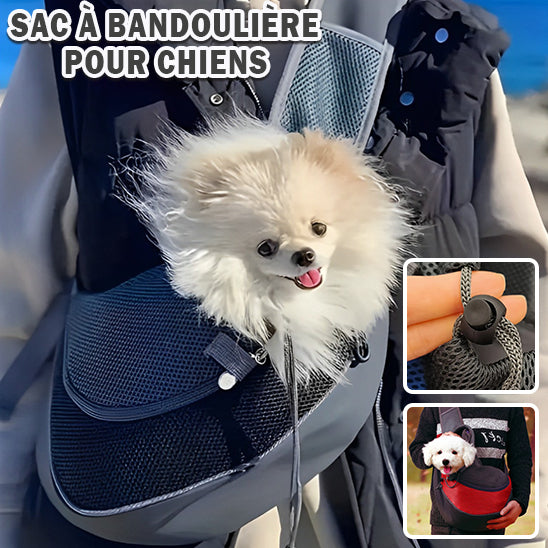 sac-de-transport-pour-chien-coloris-noir