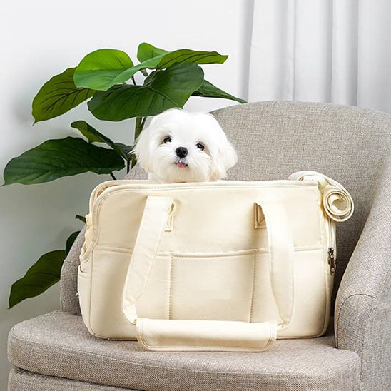 sac de transport pour chien beige plante verte fauteuil gris