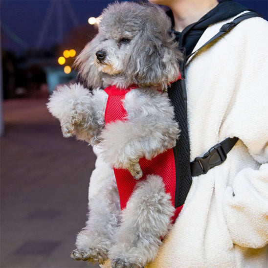 sac de transport pour chien rouge petit caniche gris