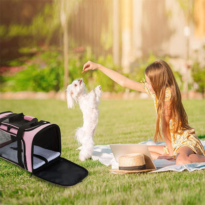 sac-pour-transporter-chien-canin-joue-dehors-avec-petite-fille