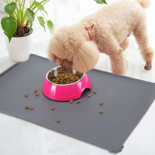 tapis gamelle chien caniche beige plante verte