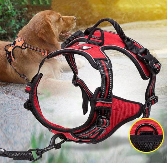 SafetyHarness™- Harnais pour animal de compagnie - Doggy Wouf