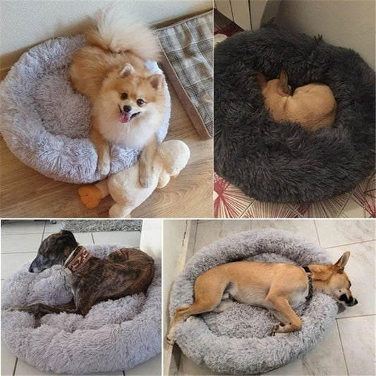 DoggyPouf™- Coussin doux pour chien - Doggy Wouf